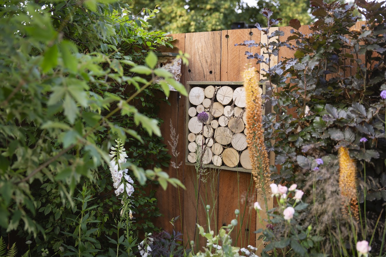 tim jennings design cambridge contemporary garden design cambridge