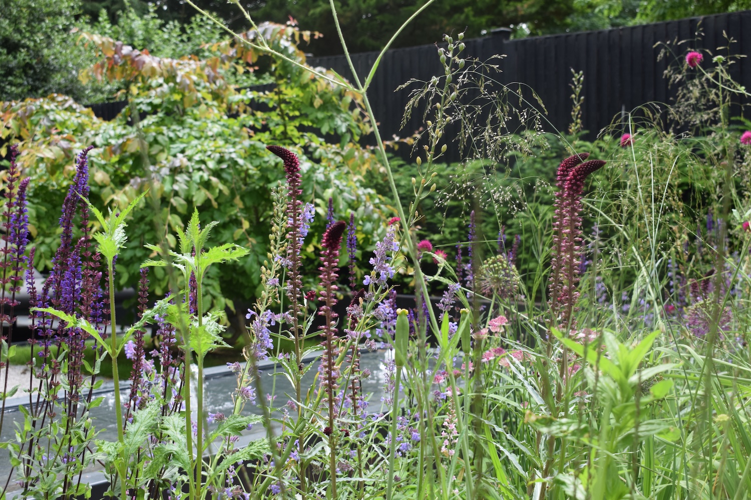 Tim Jennings garden designer Cambridge gardens in May blog main picture